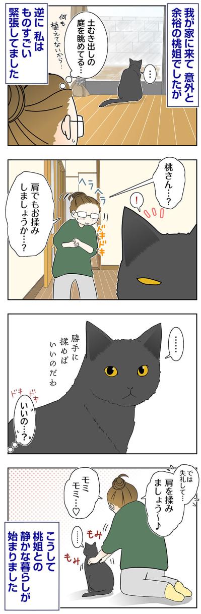 【マンガ・老猫日誌＃84】馴染む桃姐と緊張する私〜思い出の老猫日誌・桃姐と小論（サムネイル画像2）