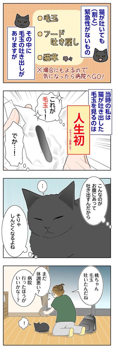 【マンガ・老猫日誌＃95】人生で初めて見た猫の毛玉吐き〜思い出の老猫日誌・桃姐と小論（サムネイル画像2）