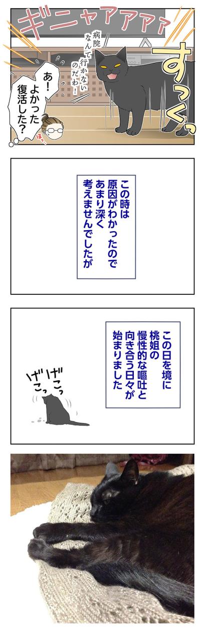 【マンガ・老猫日誌＃95】人生で初めて見た猫の毛玉吐き〜思い出の老猫日誌・桃姐と小論（サムネイル画像3）
