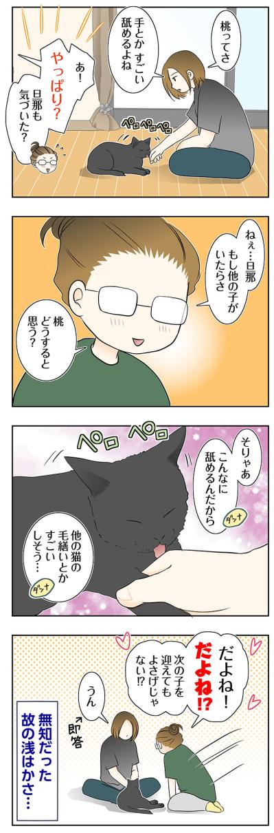 【マンガ・老猫日誌＃89】桃姐が心を開いてくれたから〜思い出の老猫日誌・桃姐と小論（サムネイル画像2）