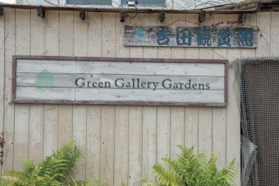 梅雨〜夏の【植物の夏越し】水やり・暑さ対策・風通しのポイントをおさえて、今年こそ植物を枯らさない！（サムネイル画像17）
