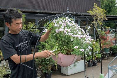 梅雨〜夏の【植物の夏越し】水やり・暑さ対策・風通しのポイントをおさえて、今年こそ植物を枯らさない！（サムネイル画像5）