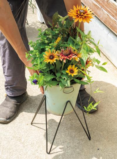 梅雨〜夏の【植物の夏越し】水やり・暑さ対策・風通しのポイントをおさえて、今年こそ植物を枯らさない！（サムネイル画像12）