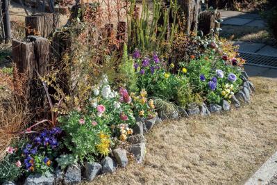 【芝生の管理のポイント】芝張り直後〜1カ月後の育ち方と、水やり、芝刈りなどの作業（サムネイル画像9）