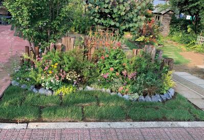 【芝生の管理のポイント】芝張り直後〜1カ月後の育ち方と、水やり、芝刈りなどの作業（サムネイル画像5）