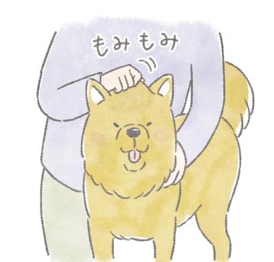 愛犬が5歳を過ぎたら始めたい。認知症予防や嚥下機能の維持に役立つ「顔のマッサージ」3選（サムネイル画像2）