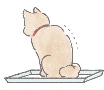 愛犬のためにしていることが逆効果！？5歳から知っておきたい老化のサインと「過保護にしない」コツ（サムネイル画像5）