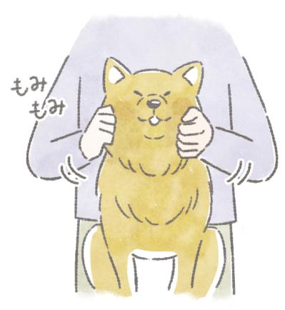 愛犬が5歳を過ぎたら始めたい。認知症予防や嚥下機能の維持に役立つ「顔のマッサージ」3選（サムネイル画像4）