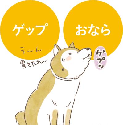 愛犬が5歳を過ぎたら知っておきたい、フードの替えどき：7歳でも今のままでいいケースとは？（サムネイル画像2）