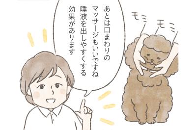 愛犬が5歳を過ぎたら始めたい。認知症予防や嚥下機能の維持に役立つ「顔のマッサージ」3選