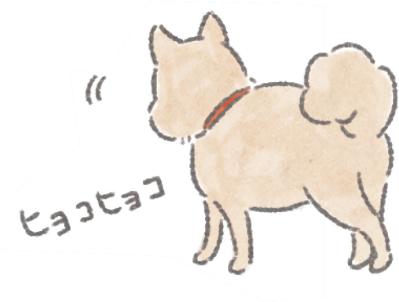 愛犬のためにしていることが逆効果！？5歳から知っておきたい老化のサインと「過保護にしない」コツ（サムネイル画像3）