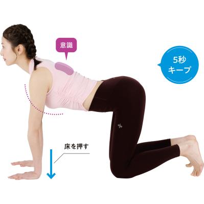 50代からの体メンテ筋トレは「肩甲骨・背骨・股関節」がカギ：動き出しが重い体を整える3つの基本（サムネイル画像9）