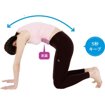 50代からの体メンテ筋トレは「肩甲骨・背骨・股関節」がカギ：動き出しが重い体を整える3つの基本（サムネイル画像10）