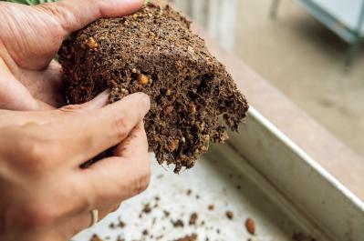 猛暑でもきれいが続く【暑さに強い寄せ植え】の作り方と苗選びのコツ（サムネイル画像8）