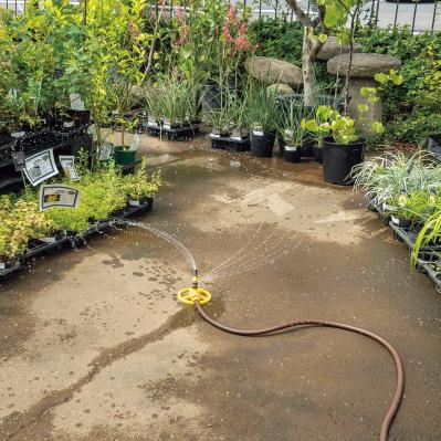 植物を枯らさない【夏の水やり】のコツとは？ 鉢植えは朝にたっぷり、花壇は15分ほどかけてじっくりと（サムネイル画像7）