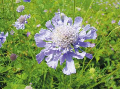 夏の避暑にぴったり！“涼にひたる”【美術館3選】青森県立美術館・足立美術館・美ヶ原高原美術館（サムネイル画像11）