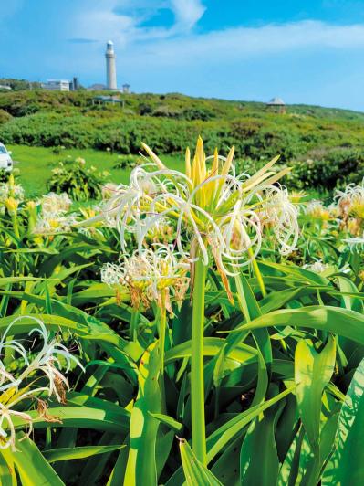 夢崎波の公園（サムネイル画像）