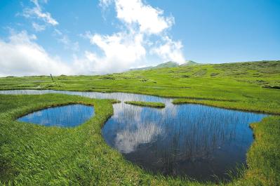 月山八合目 弥陀ヶ原湿原（サムネイル画像）