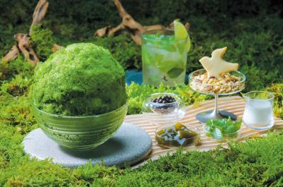 おいらせこけ玉氷（サムネイル画像）