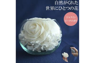 ソラの木から作られたポプリ＆フレグランスミストセット（サムネイル画像）