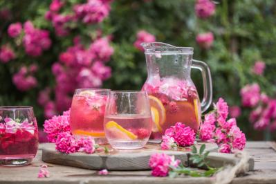 夏のバラが急に元気がない…それは夏バテ？生理現象？見分け方と負担を減らす育て方（サムネイル画像）