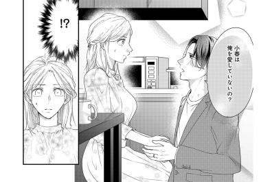 記憶を失い、愛のなかった結婚だと知った夫。信じられない彼がとった、まさかの行動とは？【秘め婚 離婚前夜、今から愛を育てます #8】