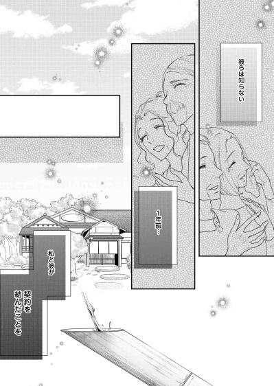 名家の令嬢×成り上がり御曹司―政略結婚の裏に隠された“契約”【秘め婚　離婚前夜、今から愛を育てます #4】（サムネイル画像2）