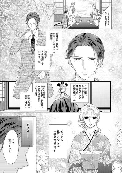 名家の令嬢×成り上がり御曹司―政略結婚の裏に隠された“契約”【秘め婚　離婚前夜、今から愛を育てます #4】（サムネイル画像3）