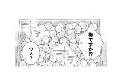 「これやるよ」突然持ち込まれた大量の梅。懐かしい故郷の香りに思いがけず心が揺れた瞬間【トゥットでアペロ～派遣切りOLが異世界で小料理屋はじめました～#21】