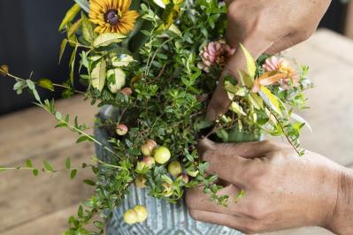 暑さに強く秋まで咲き続ける【ウォームカラーの夏の寄せ植え】株分けした葉ものがセンスアップのカギ！（サムネイル画像7）