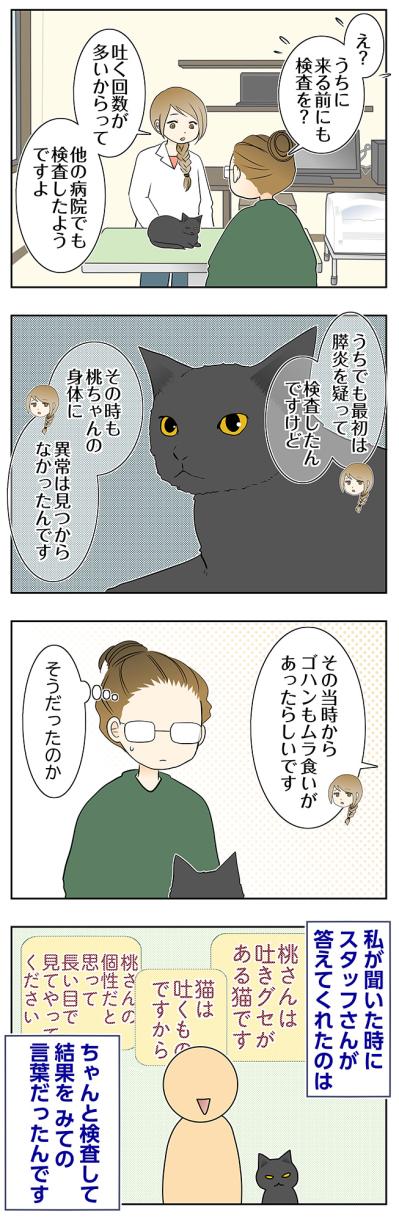 【マンガ・老猫日誌＃110】長い目で見てあげてください、と言われた日〜思い出の老猫日誌・桃姐と小論（サムネイル画像2）