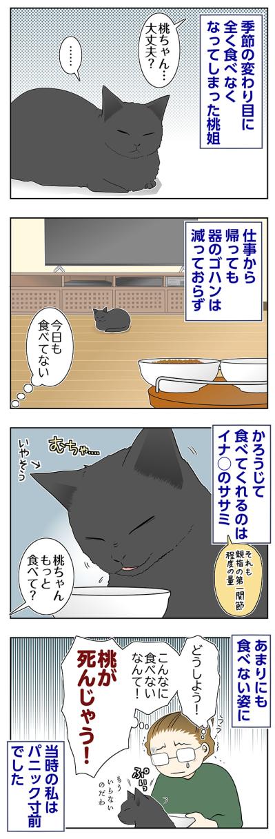 【マンガ・老猫日誌＃106】器のゴハンが全く減らなかった日々〜思い出の老猫日誌・桃姐と小論（サムネイル画像2）