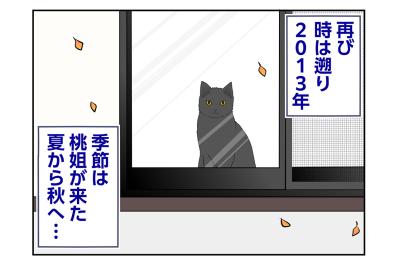 【マンガ・老猫日誌＃104】窓全開が招いた、まさかの事態〜思い出の老猫日誌・桃姐と小論