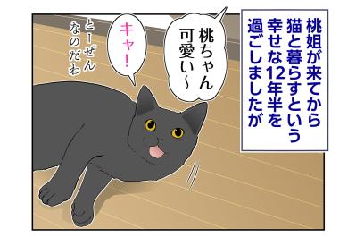 【マンガ・老猫日誌＃98】慢性嘔吐と向き合った桃姐との2年間〜思い出の老猫日誌・桃姐と小論