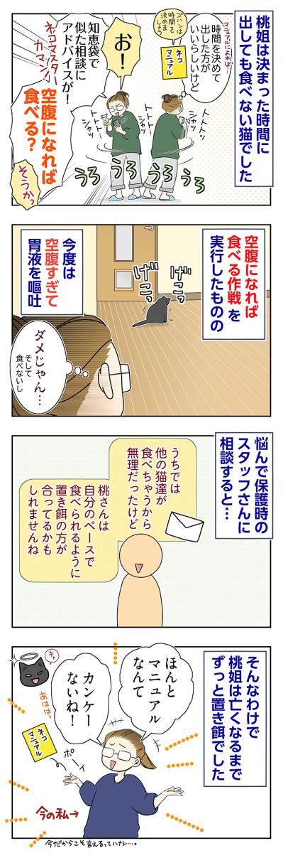 【マンガ・老猫日誌＃107】空腹になれば食べる？試行錯誤の食事作戦〜思い出の老猫日誌・桃姐と小論（サムネイル画像2）