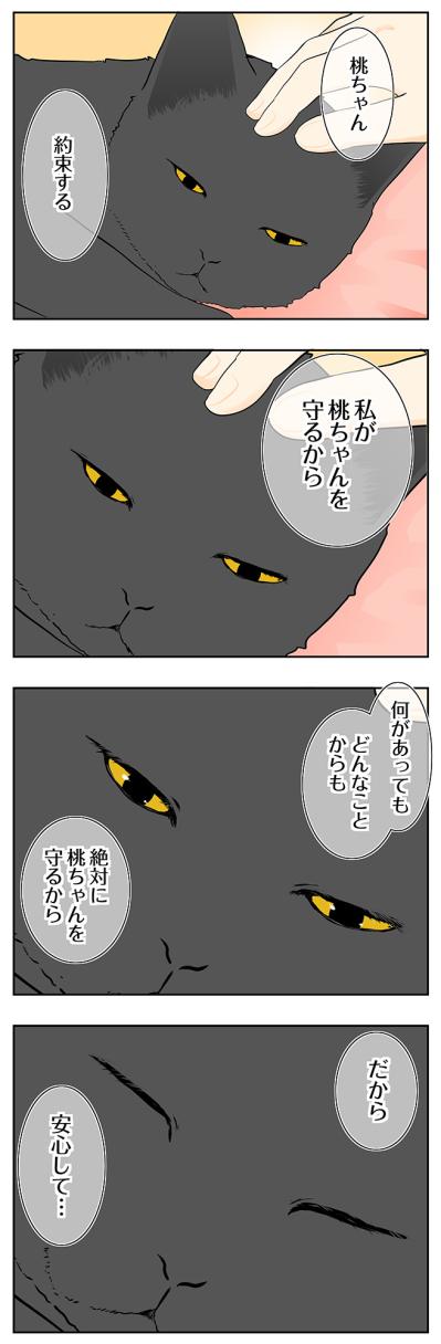 【マンガ・老猫日誌＃121】だから安心して…桃姐にかけた言葉〜思い出の老猫日誌・桃姐と小論（サムネイル画像2）