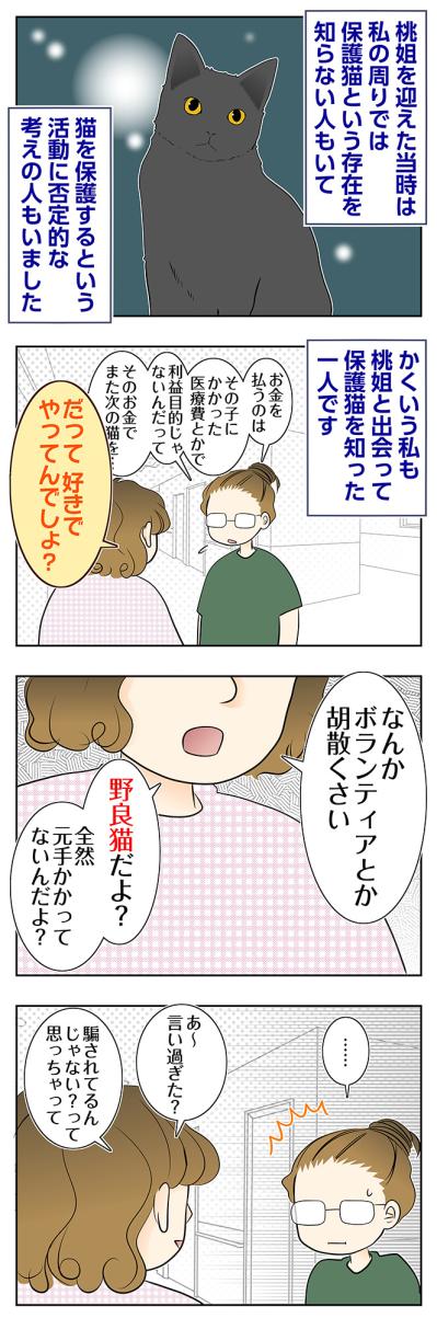 【マンガ・老猫日誌＃100】保護猫活動に否定的だった同僚とのやりとり〜思い出の老猫日誌・桃姐と小論（サムネイル画像2）