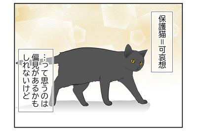 【マンガ・老猫日誌＃119】保護猫＝可哀想、それは偏見かもしれないけど〜思い出の老猫日誌・桃姐と小論