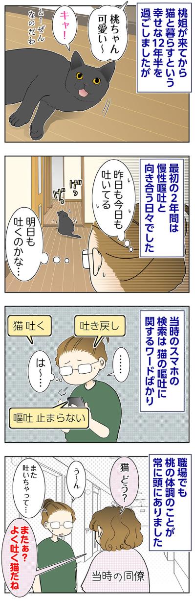 【マンガ・老猫日誌＃98】慢性嘔吐と向き合った桃姐との2年間〜思い出の老猫日誌・桃姐と小論（サムネイル画像2）