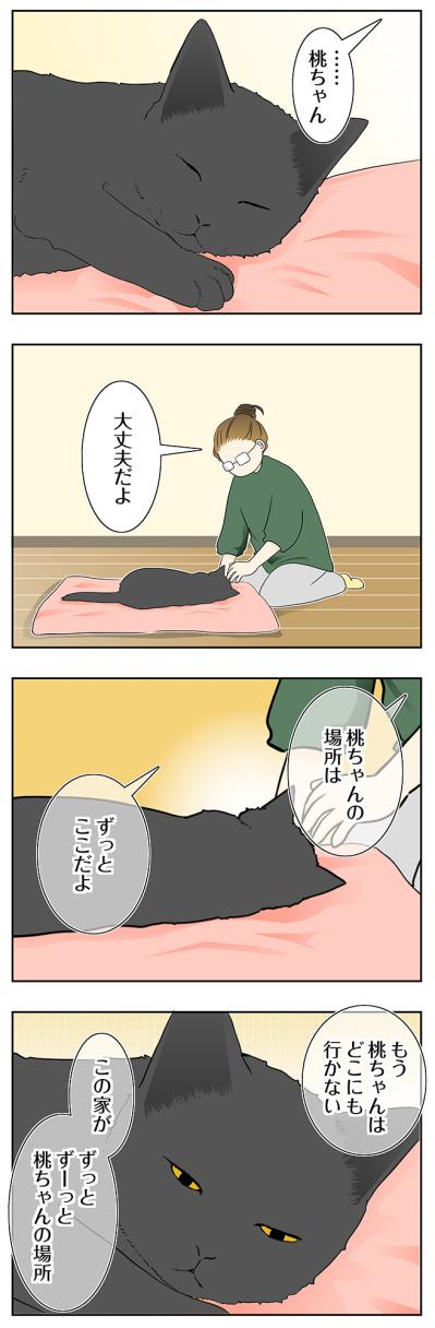 【マンガ・老猫日誌＃120】もう桃はどこにも行かせないと誓った日〜思い出の老猫日誌・桃姐と小論（サムネイル画像2）