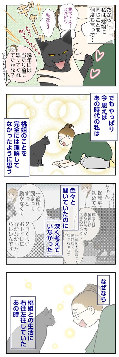 【マンガ・老猫日誌＃123】ウザがられてたかも…それでも伝え続けた想い〜思い出の老猫日誌・桃姐と小論（サムネイル画像2）