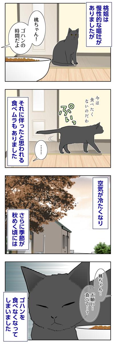 【マンガ・老猫日誌＃105】秋が深まるにつれゴハンを食べなくなった桃姐〜思い出の老猫日誌・桃姐と小論（サムネイル画像2）