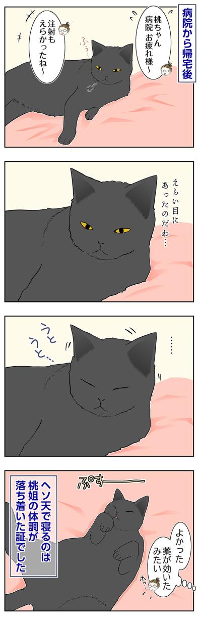 【マンガ・老猫日誌＃114】ヘソ天で寝る桃姐、安心のサイン〜思い出の老猫日誌・桃姐と小論（サムネイル画像2）