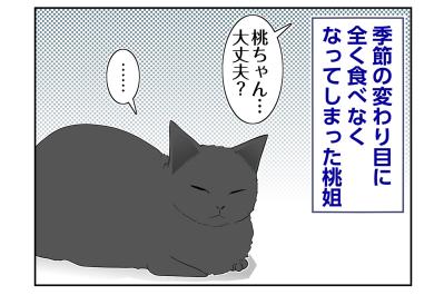 【マンガ・老猫日誌＃106】器のゴハンが全く減らなかった日々〜思い出の老猫日誌・桃姐と小論