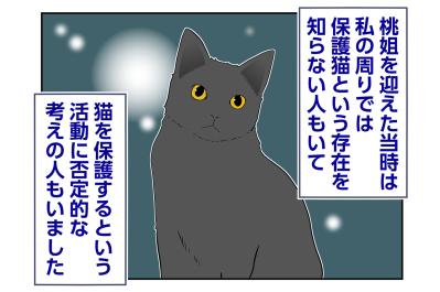 【マンガ・老猫日誌＃100】保護猫活動に否定的だった同僚とのやりとり〜思い出の老猫日誌・桃姐と小論