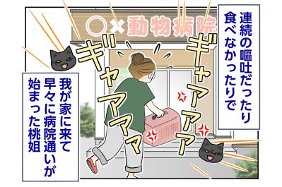 【マンガ・老猫日誌＃108】早々に始まった桃姐の病院通い〜思い出の老猫日誌・桃姐と小論