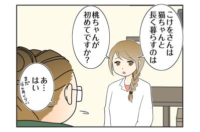 【マンガ・老猫日誌＃112】「初心者には難しい子」と言われた理由〜思い出の老猫日誌・桃姐と小論