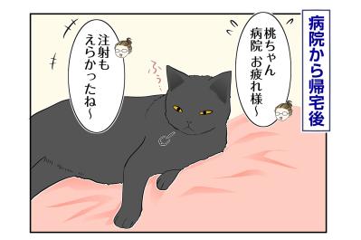 【マンガ・老猫日誌＃114】ヘソ天で寝る桃姐、安心のサイン〜思い出の老猫日誌・桃姐と小論