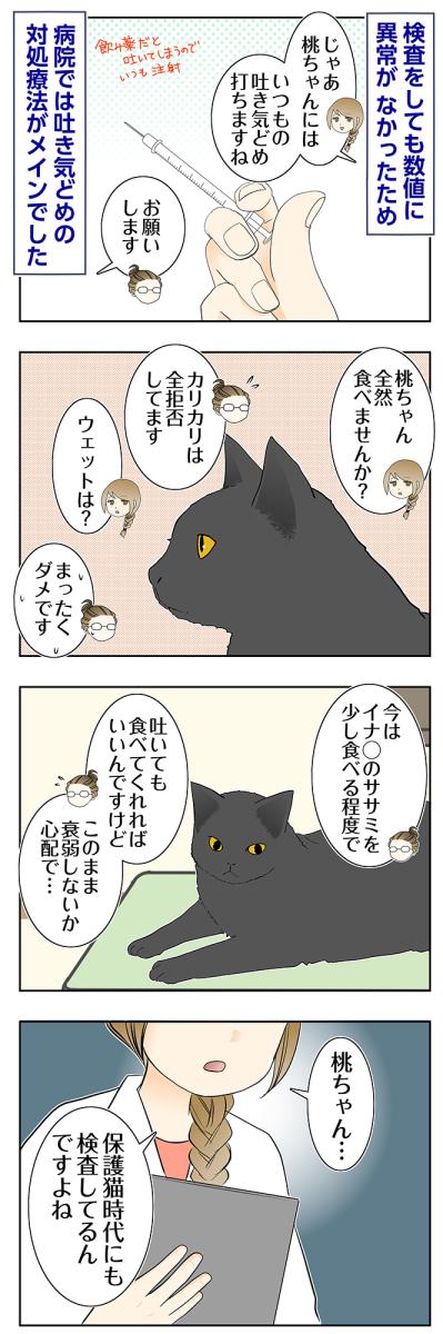 【マンガ・老猫日誌＃109】検査しても異常なし、それでも吐き続ける桃姐〜思い出の老猫日誌・桃姐と小論（サムネイル画像2）