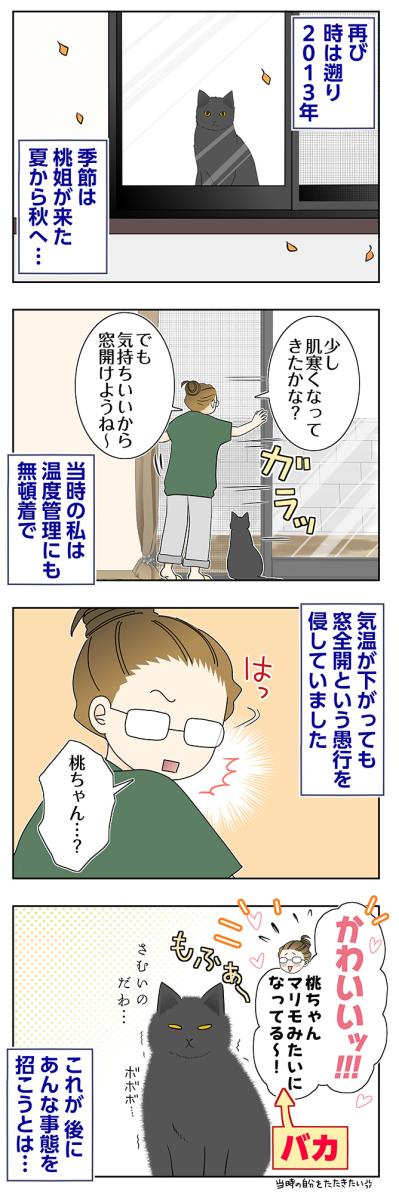 【マンガ・老猫日誌＃104】窓全開が招いた、まさかの事態〜思い出の老猫日誌・桃姐と小論（サムネイル画像2）